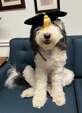 Phillips Memorial Baptist Church - Daisy Doodle Associate Pawster