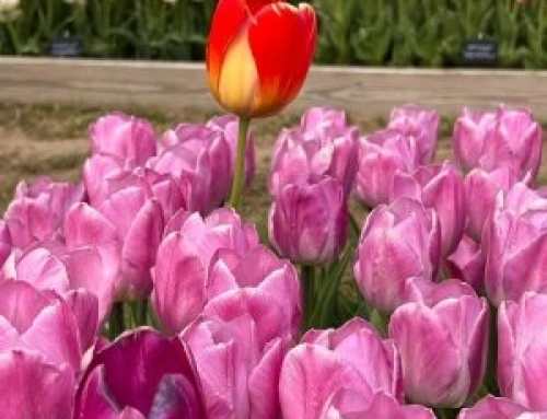 Standing Out