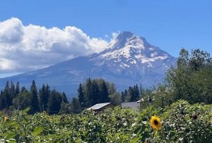 Mt Hood (Oregon)