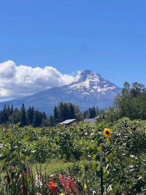 Mt Hood (Oregon)